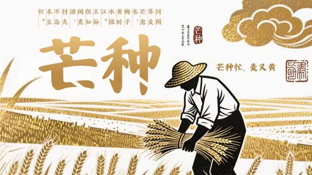 棕色创意插画风二十四节气之芒种PPT模板【2025052003】