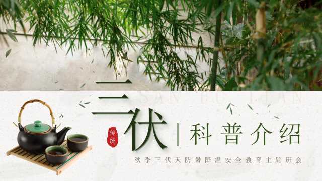 小清新三伏天科普介绍PPT模板