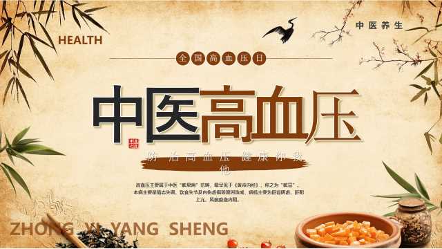 棕色中国风中医高血压PPT模版