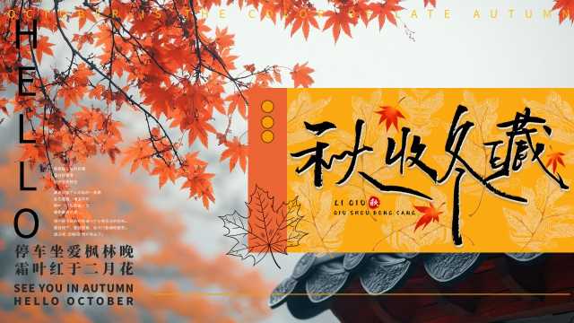 黄色清新风秋收冬藏PPT通用模板【2025100905】