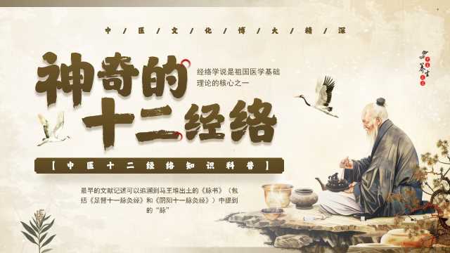 棕色中国风神奇的十二经络PPT模板【2025101004】