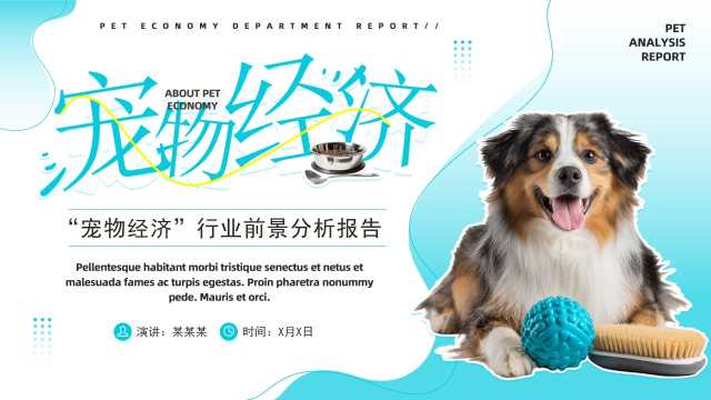 蓝色简约风宠物经济前景分析报告PPT模板【2025120604】