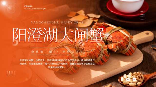 橙色简约风阳澄湖大闸蟹宣传介绍PPT模板【2026092905】